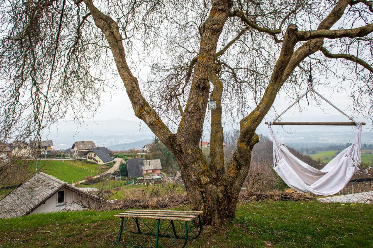 Vineyard Klemencic Appartement Novo Mesto