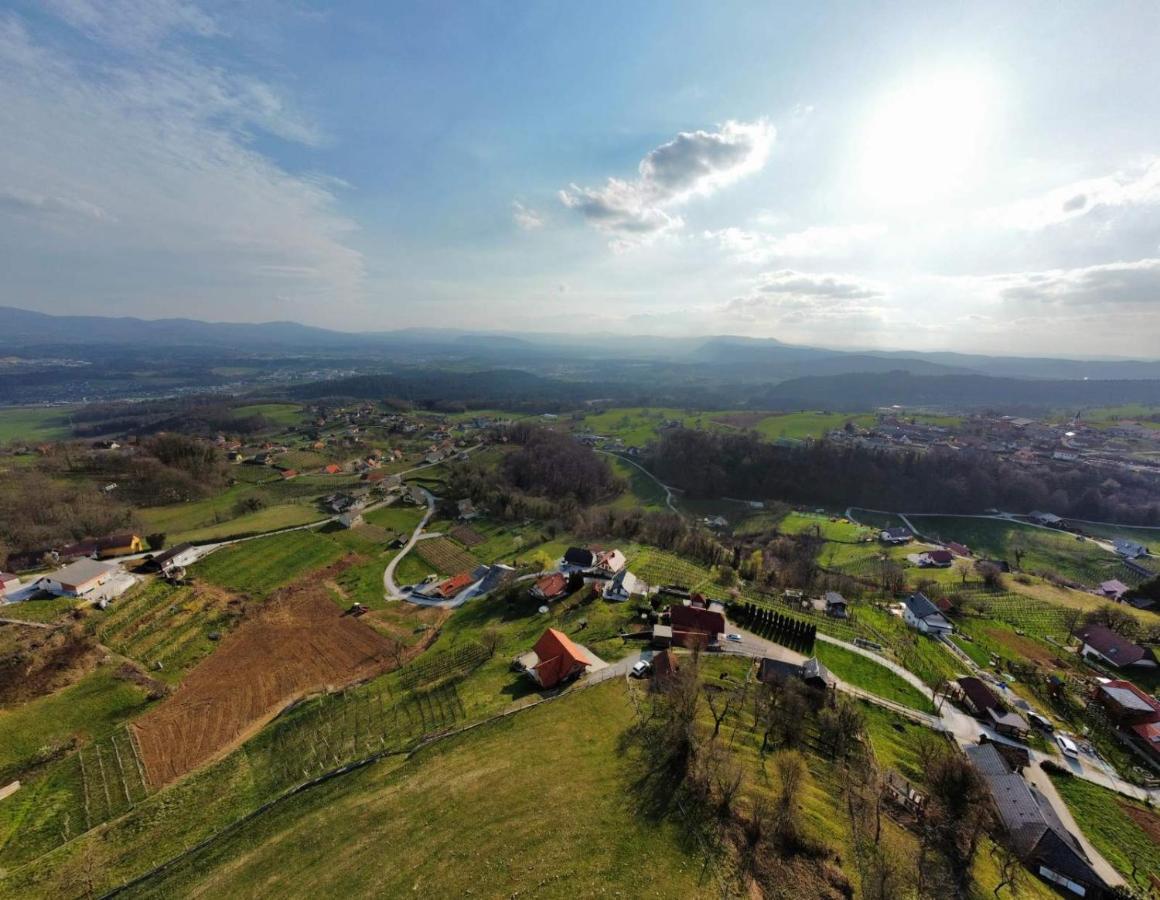 Vineyard Klemencic Novo Mesto