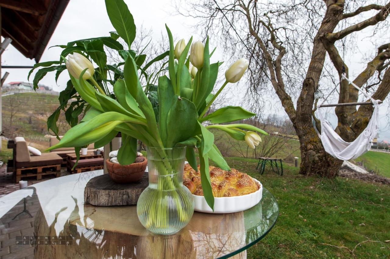Vineyard Klemencic Appartement Novo Mesto