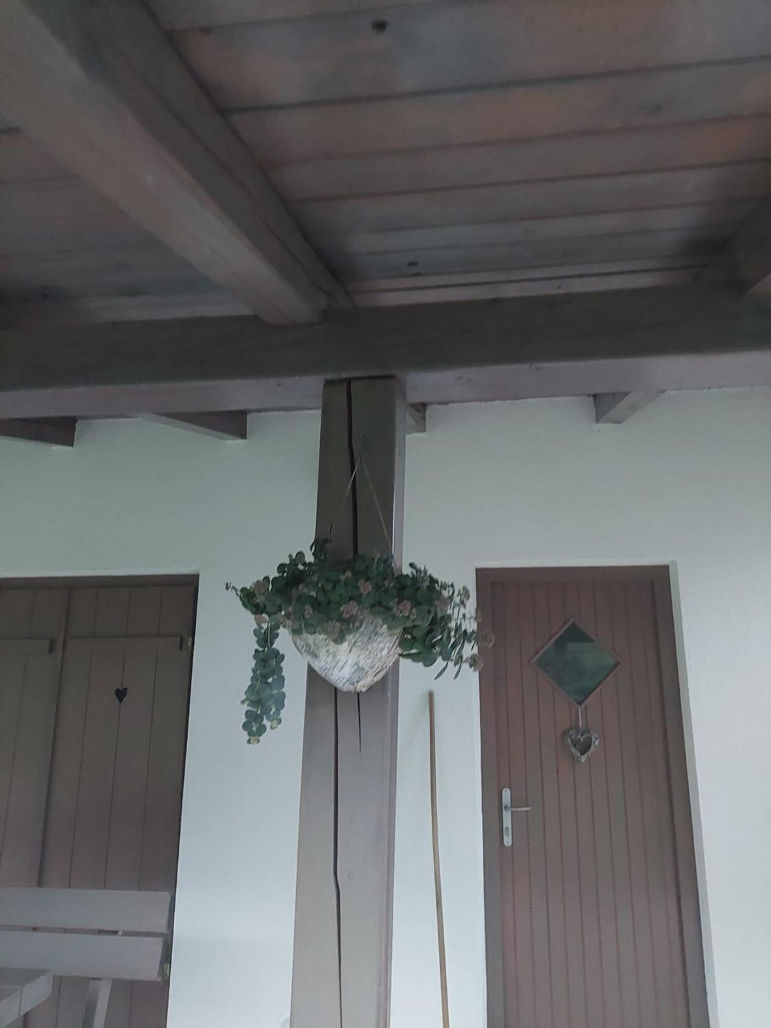 Appartement Vineyard Klemencic Novo Mesto