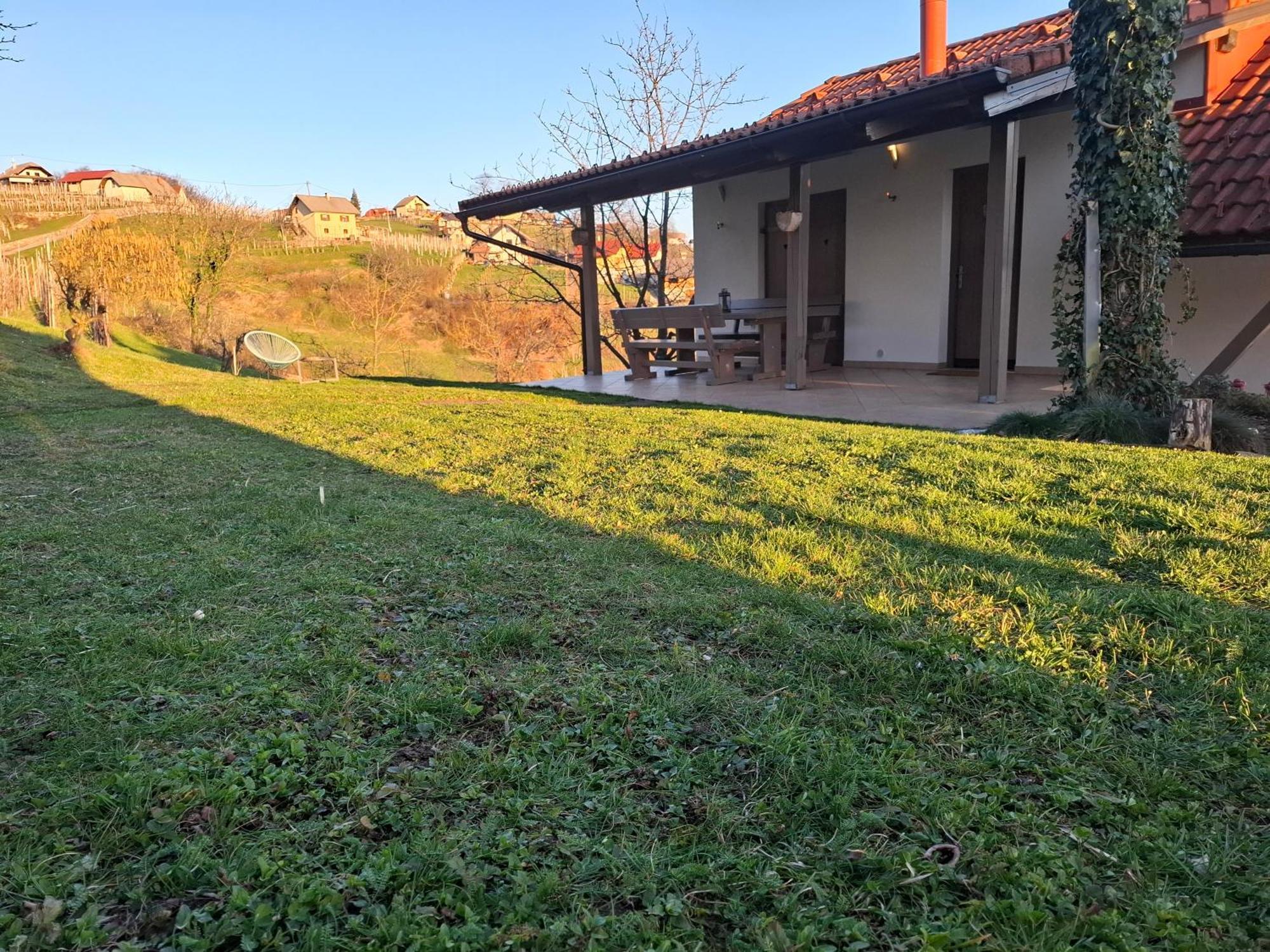 Vineyard Klemencic Novo Mesto